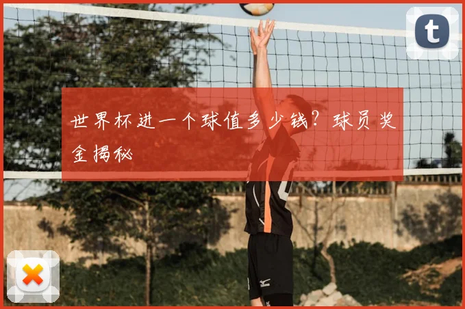 世界杯进一个球值多少钱?球员奖金揭秘